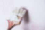 Mold Remediation